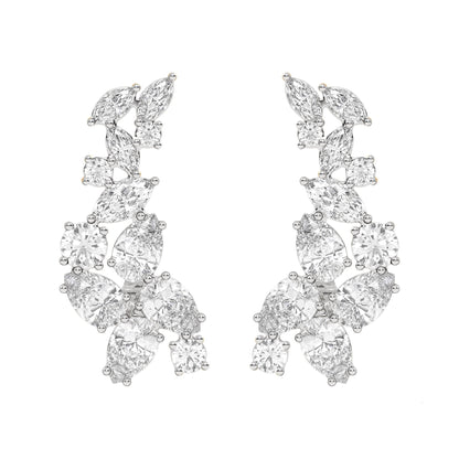 Fancy Mix Ear Climbers