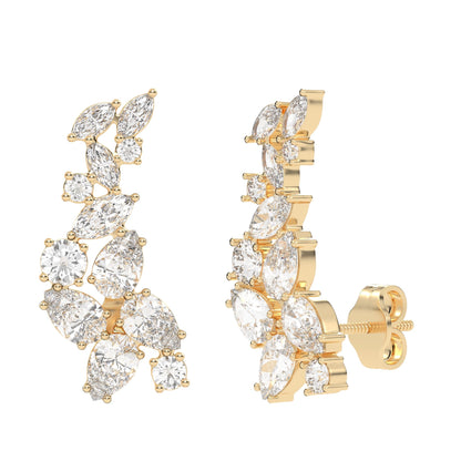Fancy Mix Ear Climbers