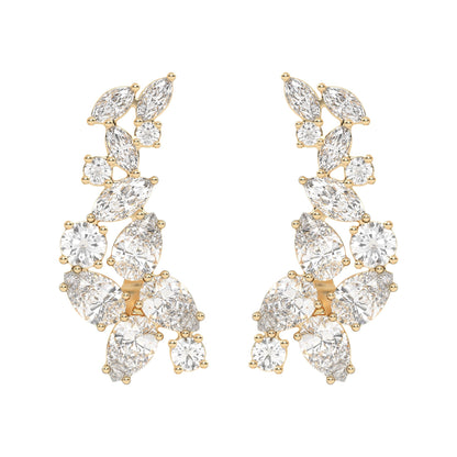 Fancy Mix Ear Climbers